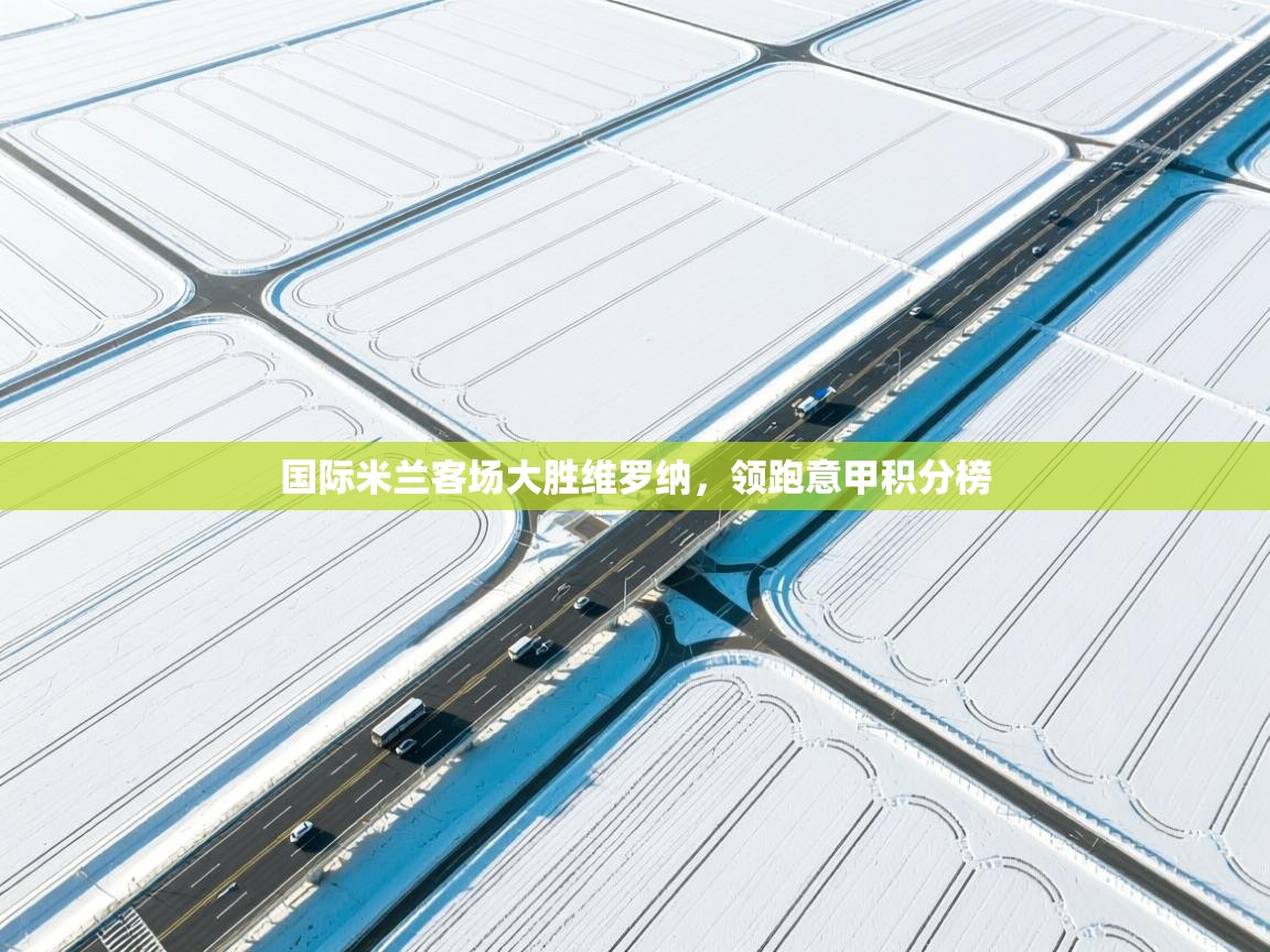 国际米兰客场大胜维罗纳，领跑意甲积分榜  第2张